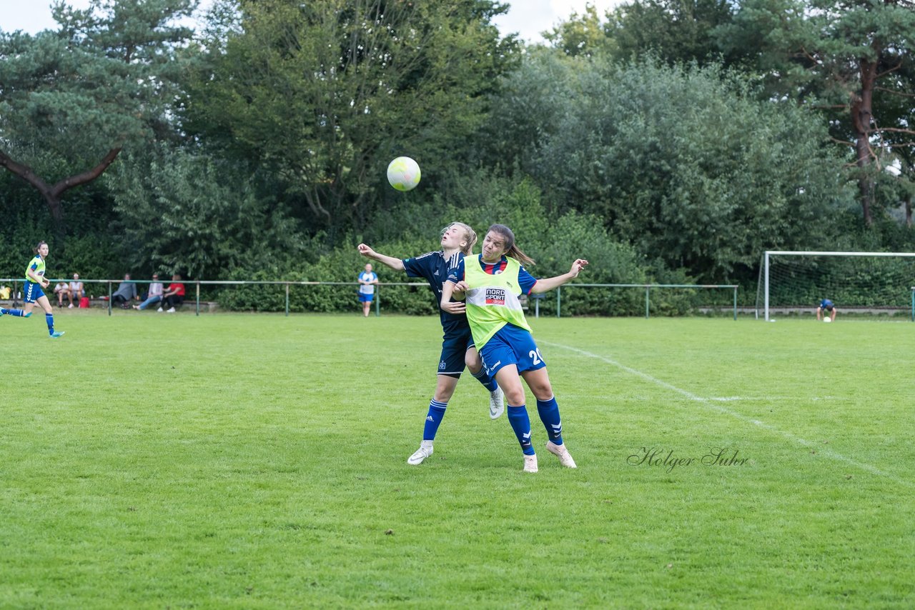 Bild 314 - B-Juniorinnen VfL Pinneberg - HSV : Ergebnis: 1:4